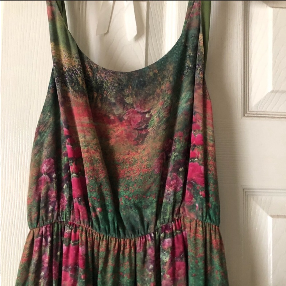 Alice and Olivia maxi dress